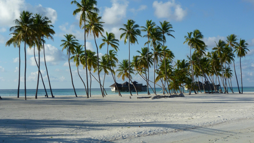 travel-advisor-benefits